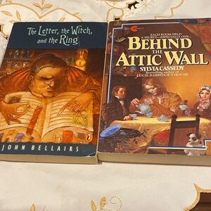 The Letter, the Witch, and the Ring & Behind the Attic Wall Books